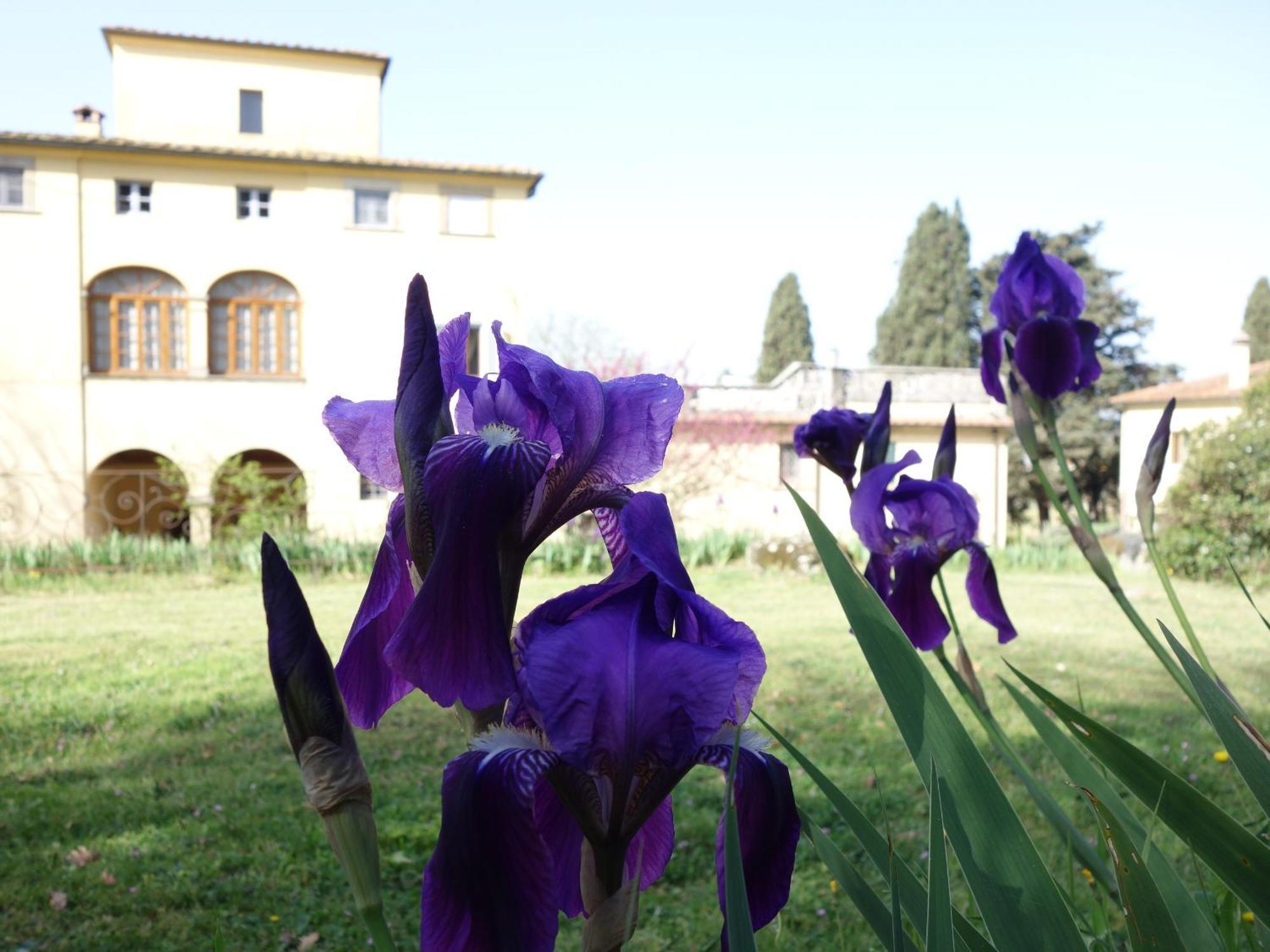 Bed and Breakfast Bella Di Ceciliano Arezzo Exterior foto