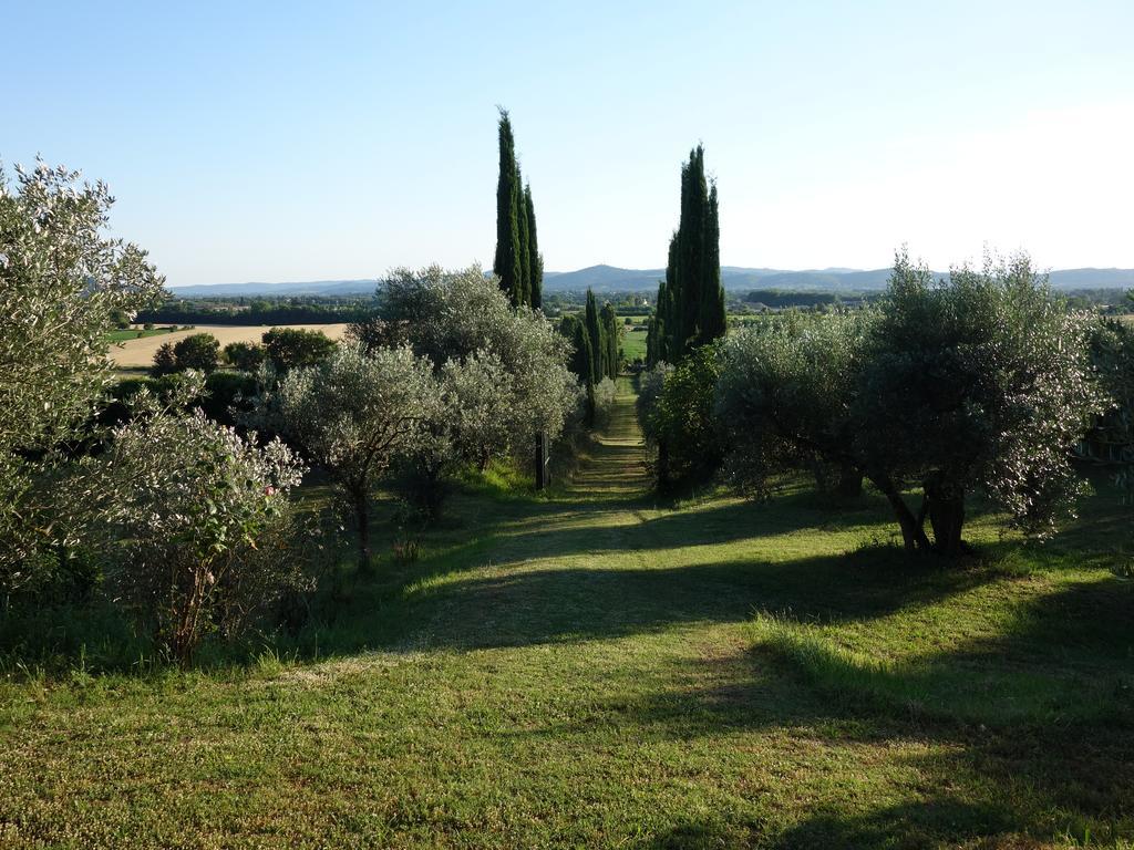 Bed and Breakfast Bella Di Ceciliano Arezzo Exterior foto